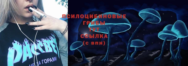 прущая мука Новодвинск