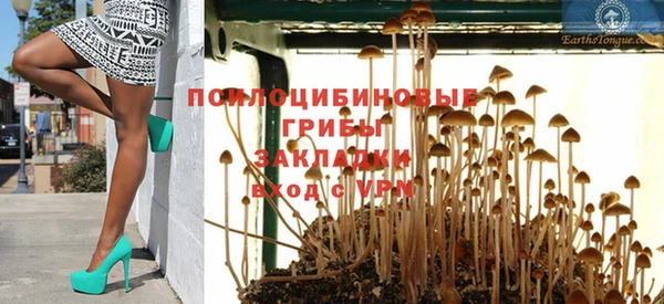 mdpv Заречный