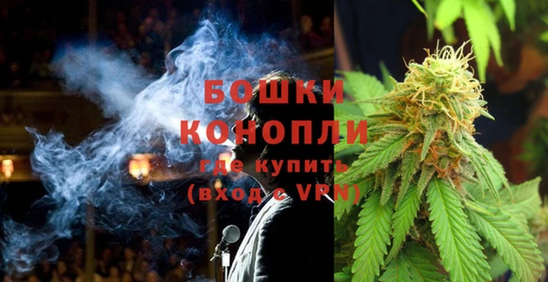 шишки Дмитров