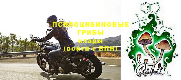 ешки Нефтегорск