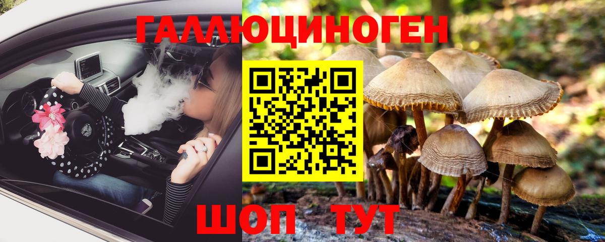 Псилоцибиновые грибы MAGIC MUSHROOMS  Вход с VPN  Кинель 