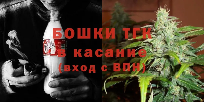 Каннабис SATIVA & INDICA  Кинель 