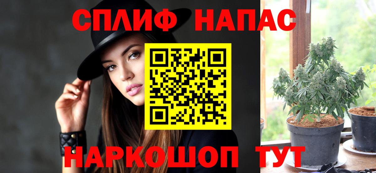 Канабис сатива Кинель